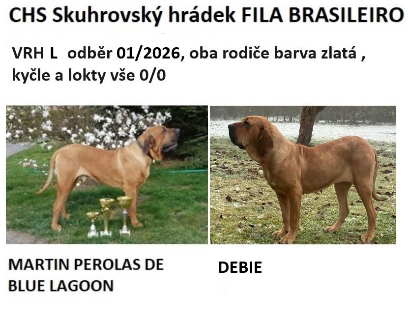 Vrh L Vrh L 2025-2026